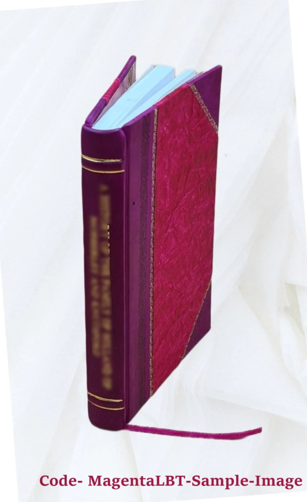 1881 [Leather Bound]. Fairbanks, m.a. Augustine, Florida / by George R. History and antiquities of St