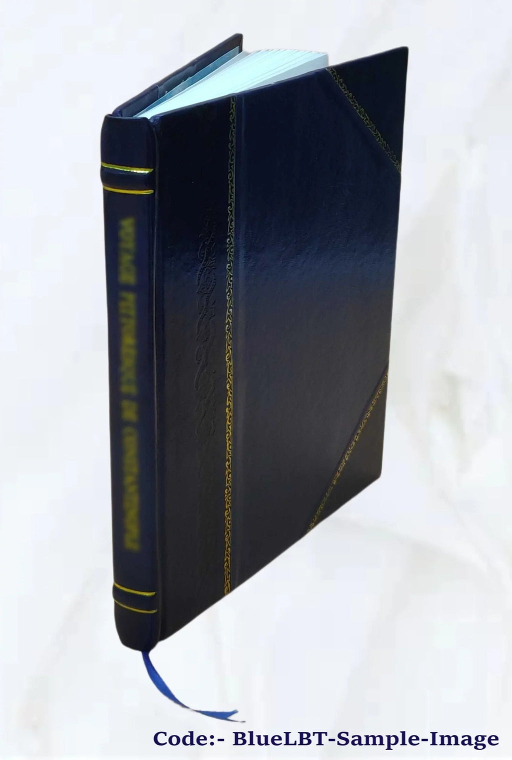 1881 [Leather Bound]. Fairbanks, m.a. Augustine, Florida / by George R. History and antiquities of St