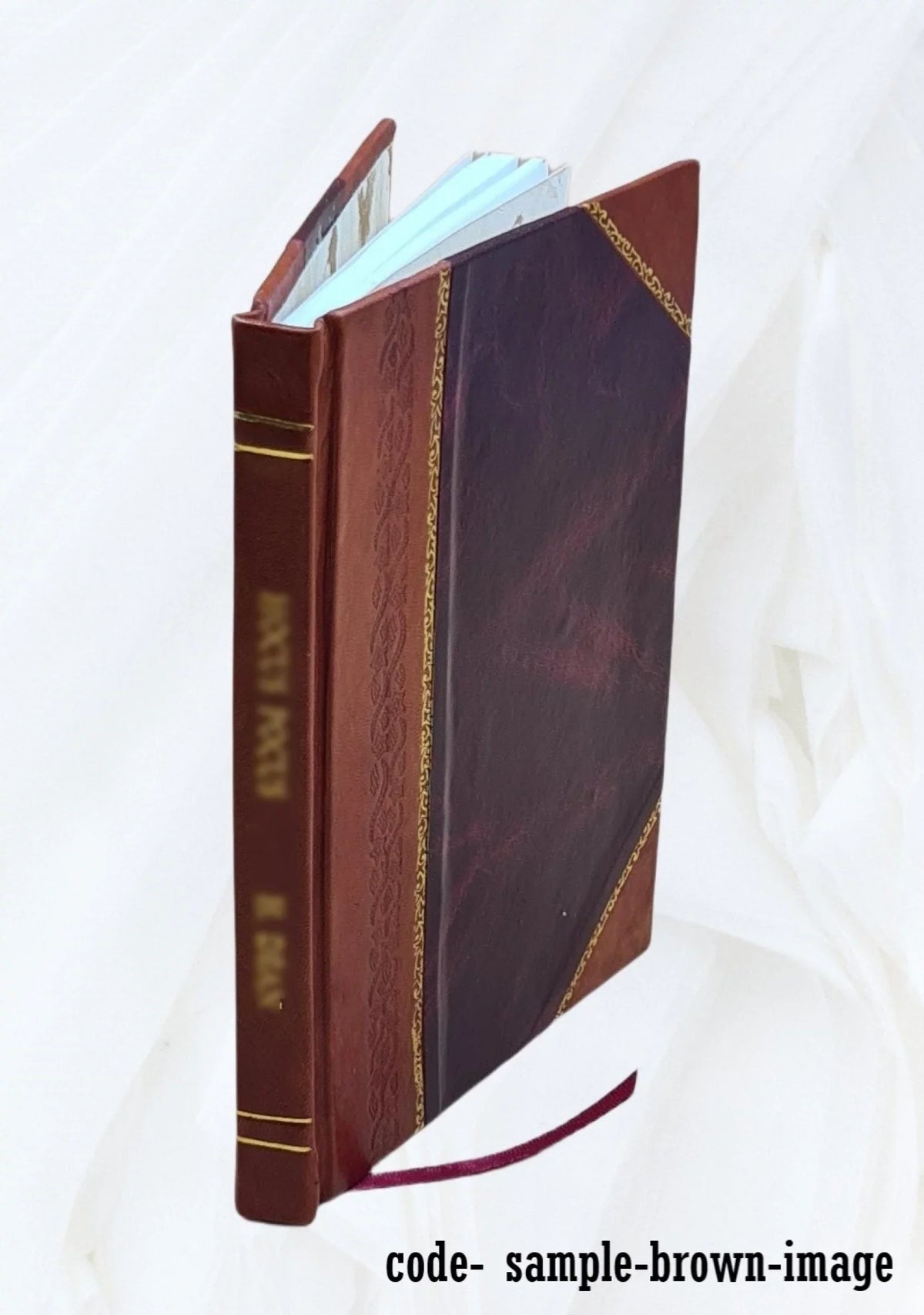 1881 [Leather Bound]. Fairbanks, m.a. Augustine, Florida / by George R. History and antiquities of St