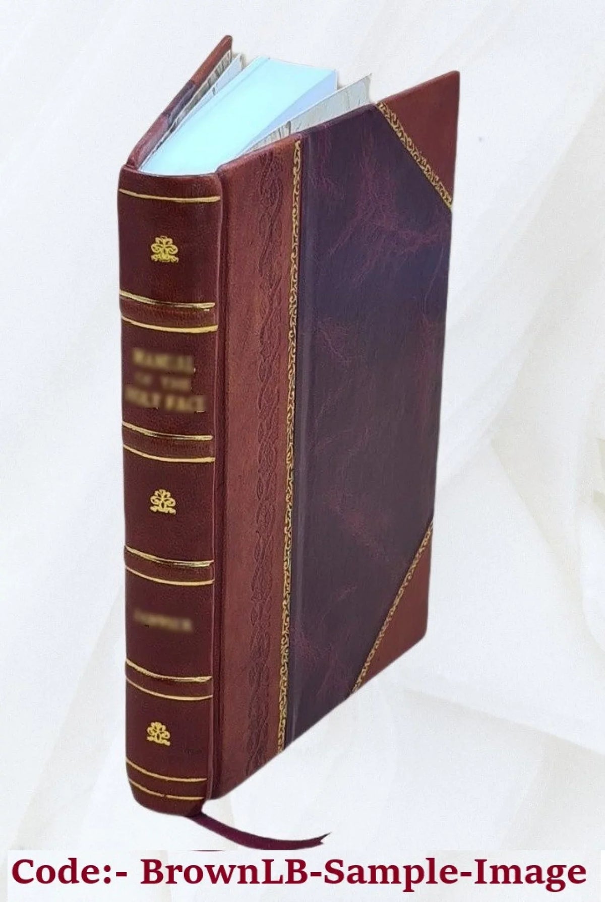 Gasteropoda and Cephalopoda of the Raritan clays and Greensand Marls of New Jersey 1892 [Leather Bound]