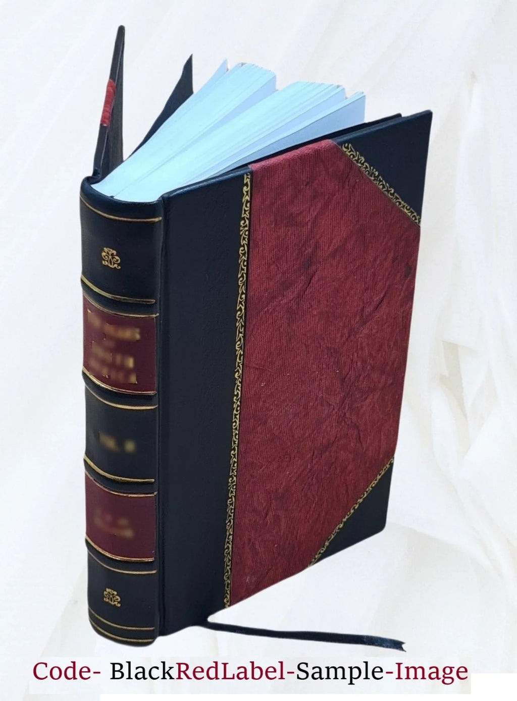 Gasteropoda and Cephalopoda of the Raritan clays and Greensand Marls of New Jersey 1892 [Leather Bound]