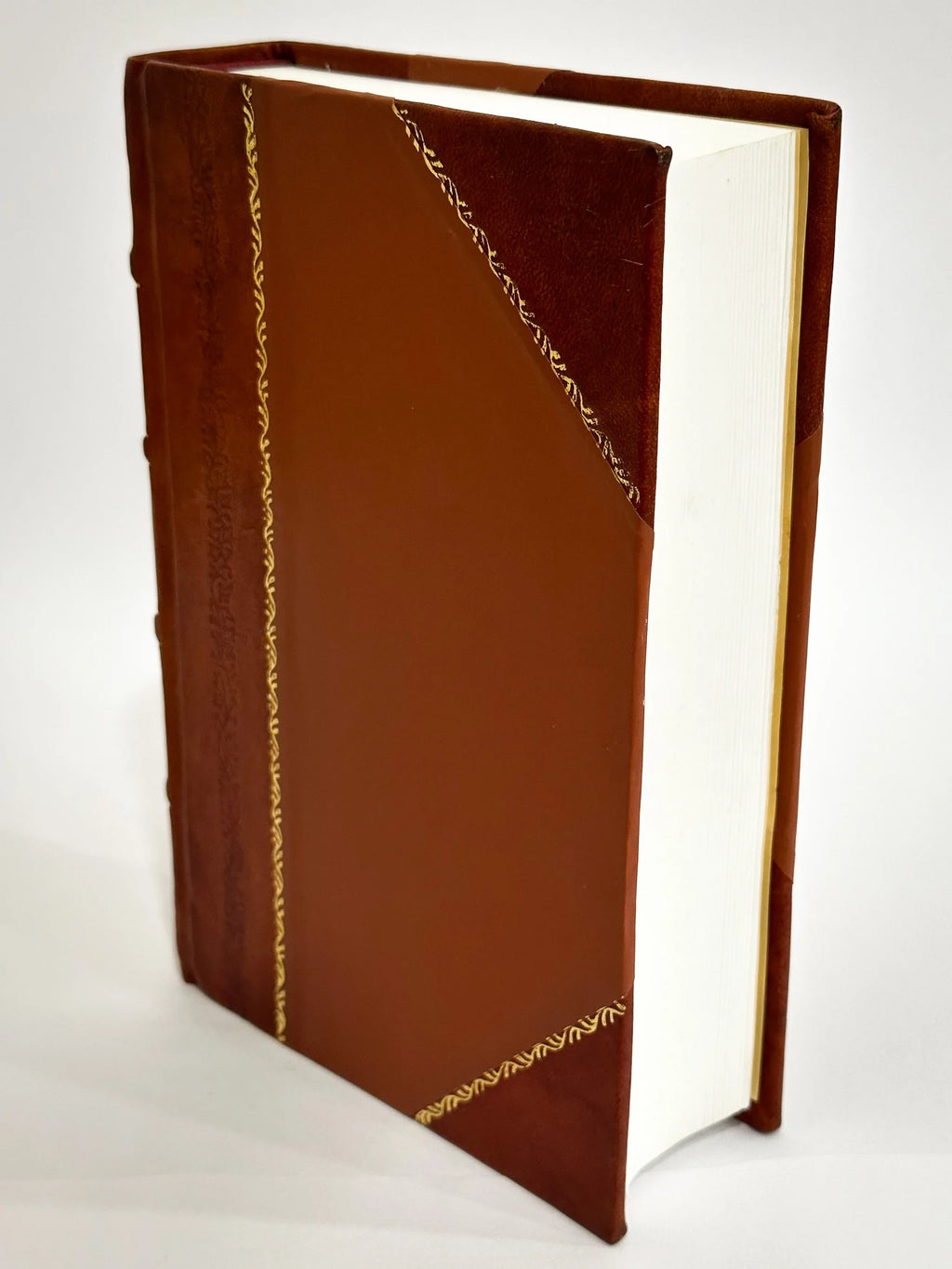 Remediaque Probatissima, Ac Doctrinam Singularem in Malignos Spiritus Expellendos, Facturasque, Et Maleficia Fuganda De Obsessis (1606) [Leather Bound]. Exorcismos Terribiles ... Flagellum Daemonum