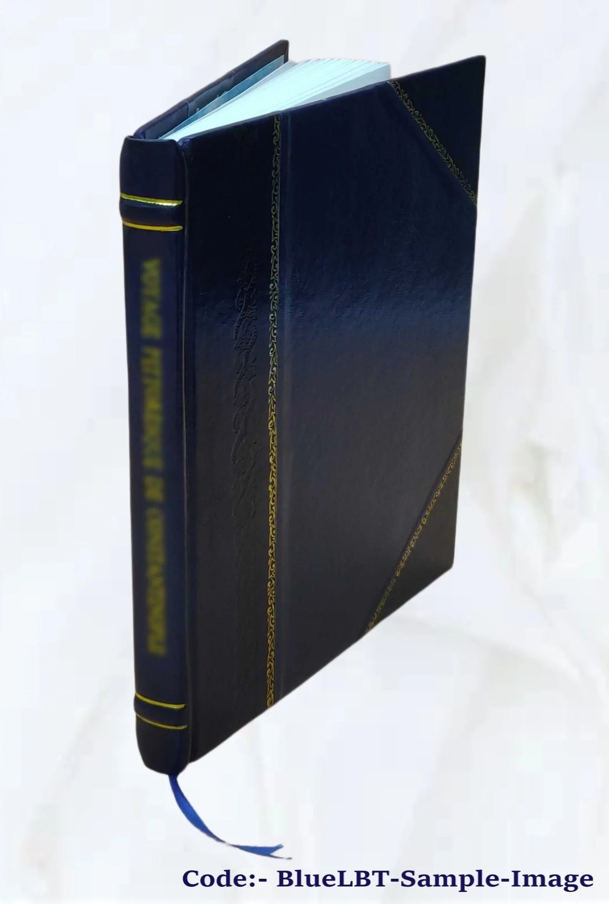 Volume v.1017(1922) 1922 [Leather Bound]. King. Simons and Forest V. Report on drainage and prevention of overflow in the valley of the Red River of the North / by P.T